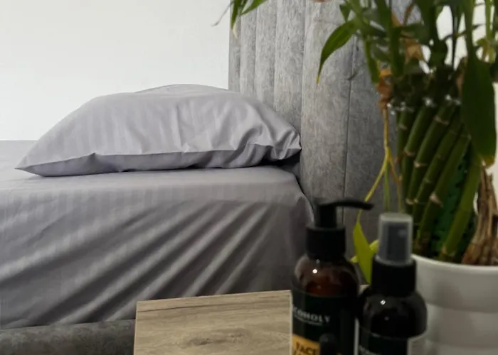 By Fenix Hostel Tirana